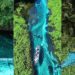 Brazil’s Sucuri River: A Transparent Snorkeling Haven in the Wild