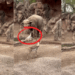Elephant Named ‘Trompita’ Rescues Drowning Gazelle