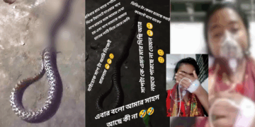 Bitten by Cobra, Teen Films TikTok With It Before Falling into Coma