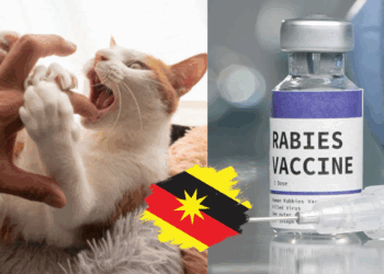 Stray Animal Bite Infects Malaysian Teen With Rabies