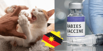 Stray Animal Bite Infects Malaysian Teen With Rabies
