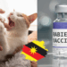 Stray Animal Bite Infects Malaysian Teen With Rabies