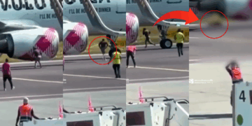 Tragedy at Milan Airport: Man Dies After Appearing to Run Into Jet Engine