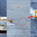 Dad Dives into Sea After Daughter Falls from Disney Cruise Ship