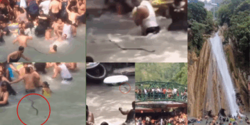 Tourists Flee in Panic: Snake Joins Crowd at Waterfall Pool in India