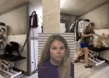 Woman Arrested and Charged With Animal Cruelty After Grooming Abuse Video Goes Viral