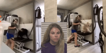 Woman Arrested and Charged With Animal Cruelty After Grooming Abuse Video Goes Viral