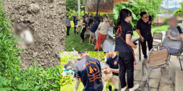 Man Buries Siberian Husky Alive in His Backyard, Neighbours Step In to Rescue