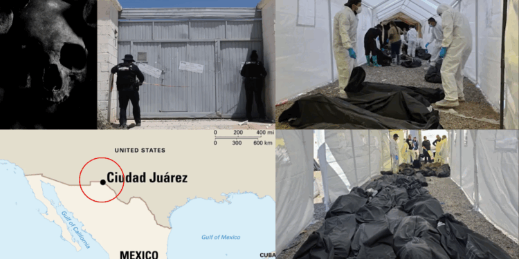 Shocking Discovery: 389 Embalmed Bodies Found at Crematorium by US–Mexico Border