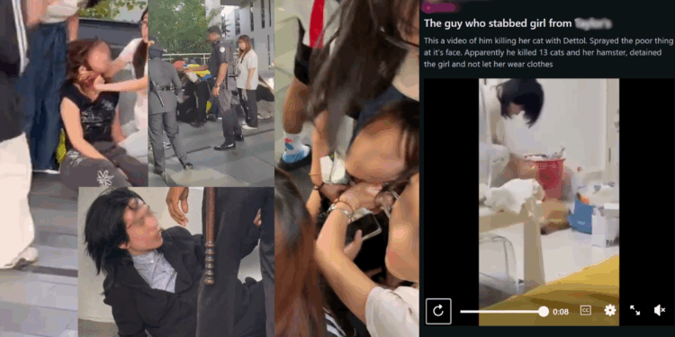Alleged Animal Abuser Arrested for Stabbing Ex-Girlfriend at Malaysian University