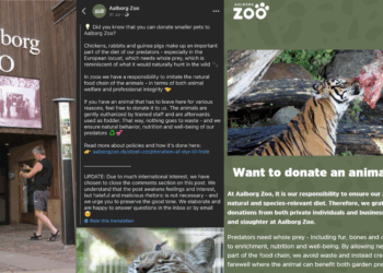 ‘We Don’t Take Dogs and Cats’: Danish Zoo Defends Pet Donation Feeding Program