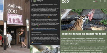 ‘We Don’t Take Dogs and Cats’: Danish Zoo Defends Pet Donation Feeding Program