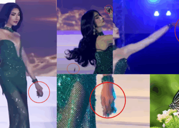 ‘Poor Butterflies Had to Suffer’: Beauty Pageant Contestant Criticised for Using Live Creatures