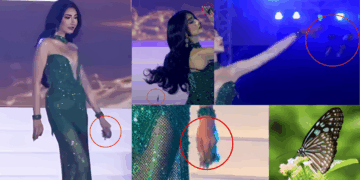 ‘Poor Butterflies Had to Suffer’: Beauty Pageant Contestant Criticised for Using Live Creatures