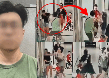 Vietnamese Man Assaults Woman After She Refuses to Apologize Over Children’s Dispute