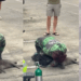 Delivery Food Rider in Thailand Rescues Cat from Fire in Condo Blaze