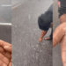 Icy Surprise: Hailstorm Strikes Residential Areas Just Outside Kuala Lumpur