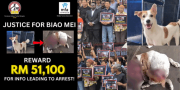 M’sian NGOs Announced RM51,100 (S$15.6K) Reward To Catch Dog-Skinning Culprit