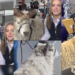 ‘I was nervous, but Kevin helped’: Teen Collects GCSE Results Alongside Beloved Pet Sheep