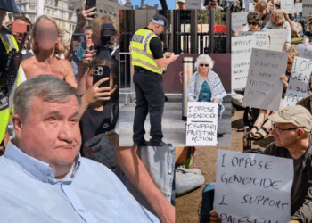 UK Police Arrest Visually Impaired Wheelchair User at London Palestine Protest