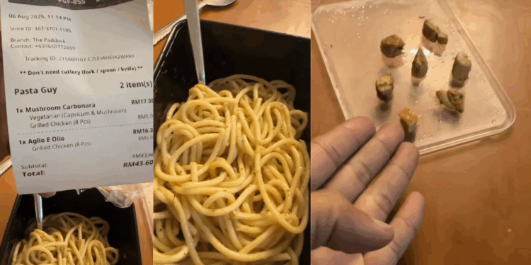 Man Pays RM5 (S$1.51) for 8 Pieces of Add-On Chicken, Left Unimpressed by Portion Size