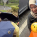 Strangers United in Rain to Help Mother Deliver Baby by Roadside