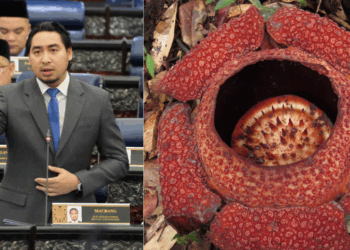 “Even ‘Anwar’ is a better name” – Malaysian MP Proposes Renaming Rafflesia