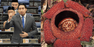 “Even ‘Anwar’ is a better name” – Malaysian MP Proposes Renaming Rafflesia