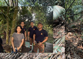 ‘I asked him if the path led out of the forest’: Solo Hike at Puchong Hill Turns Survival Saga