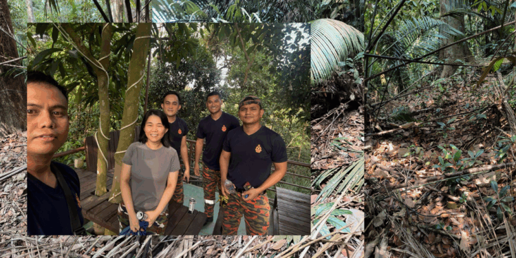 ‘I asked him if the path led out of the forest’: Solo Hike at Puchong Hill Turns Survival Saga