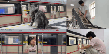 Dedication on Display: Pet Owner in China Builds Subway Station for His Maine Coons