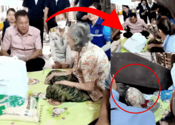 Governor In Thailand Says “We’ll Fix Your House” to Elderly Woman — It Instantly Collapses