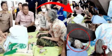 Governor In Thailand Says “We’ll Fix Your House” to Elderly Woman — It Instantly Collapses