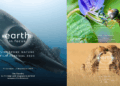Sustainability and Biodiversity Key Issues in Singapore’s Biggest Nature Film Festival: Earth in Focus