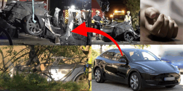 ‘I Couldn’t Do Anything’—EV Crash Kills Father and Two Children Despite Rescue Efforts