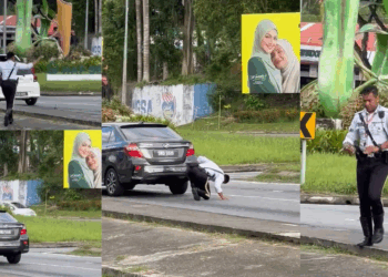 Traffic Policeman Halts Traffic to Rescue Kitten on Busy Road
