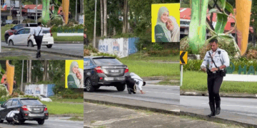 Traffic Policeman Halts Traffic to Rescue Kitten on Busy Road
