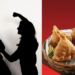 “Forgot My Samosa? You’ll Pay!” Woman, Parents Beat Husband and In-Law
