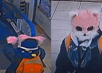 Woman in Korea Wields Knives in Supermarket, Only ‘Meows’ to Police When Questioned