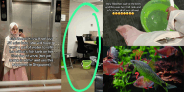Singapore New Hire Quits After First Task Requires Filling Office Fish Tank