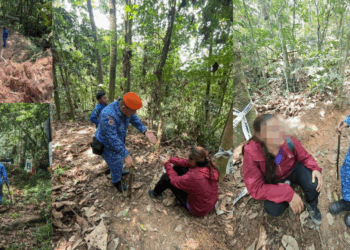 Woman Rescued After Thinking a “Tiger” Had Chased Her, Authorities Clarify Otherwise