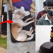 Man Fined Around S$6,100 for Beating Sister’s Dog to Death With Iron Rod