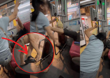 Another Public Transport Altercation: Taiwan Woman Fights Elderly Man Over Bus Priority Seat