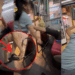 Another Public Transport Altercation: Taiwan Woman Fights Elderly Man Over Bus Priority Seat