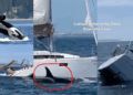Iberian Orcas Ram, Sink Tourist Yacht Off Portugal in Unsettling Sea Encounter