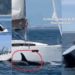 Iberian Orcas Ram, Sink Tourist Yacht Off Portugal in Unsettling Sea Encounter