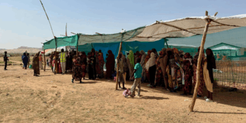 Urgent Appeal for El Fasher’s People – MSF Denounces Mass Atrocities and Fears Many People Remain in Grave Danger