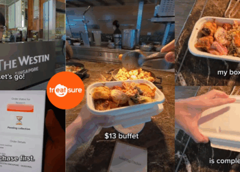 “This Hotel Has a $13 Buffet You Can Take Away” — Video Features Singapore’s Surplus Food Solution
