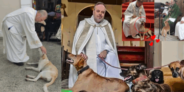 ‘I didn’t rescue them, I was rescued by them,’ Priest Brings Stray Dogs to Mass for Adoption