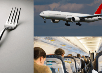 Fork Used as Weapon in Alleged Mid-Flight Attack on Teens